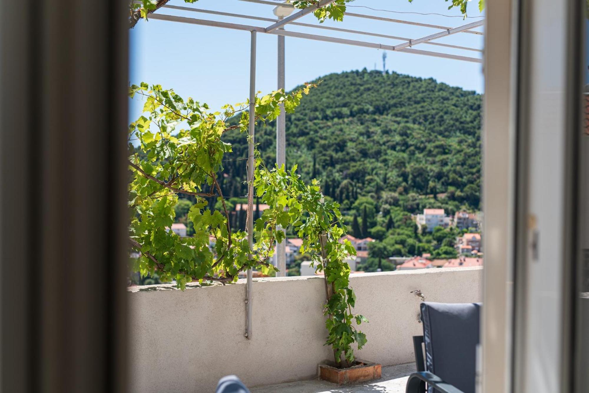 Guesthouse Niko Dubrovnik Exteriör bild